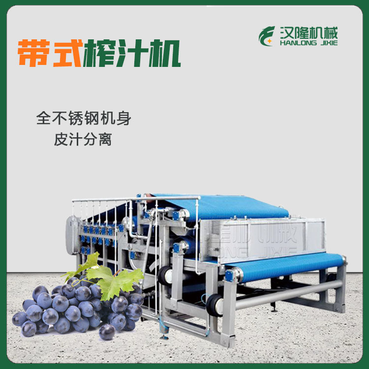 带式压榨机 大型果蔬榨汁机 DYJ型果蔬压榨机 不锈钢材质可定做