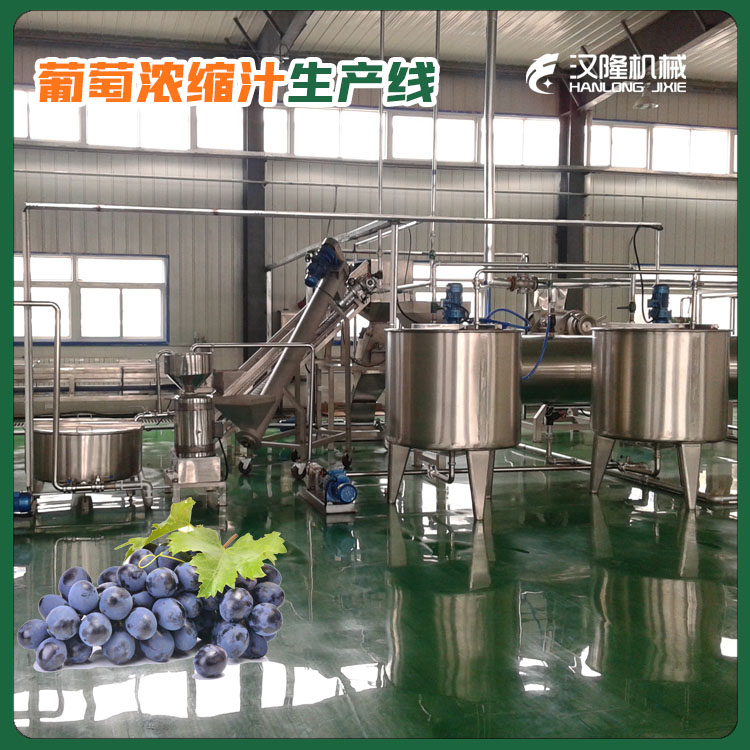 厂家供应大中小型果汁饮料葡萄果汁果酒生产线酵素生产线
