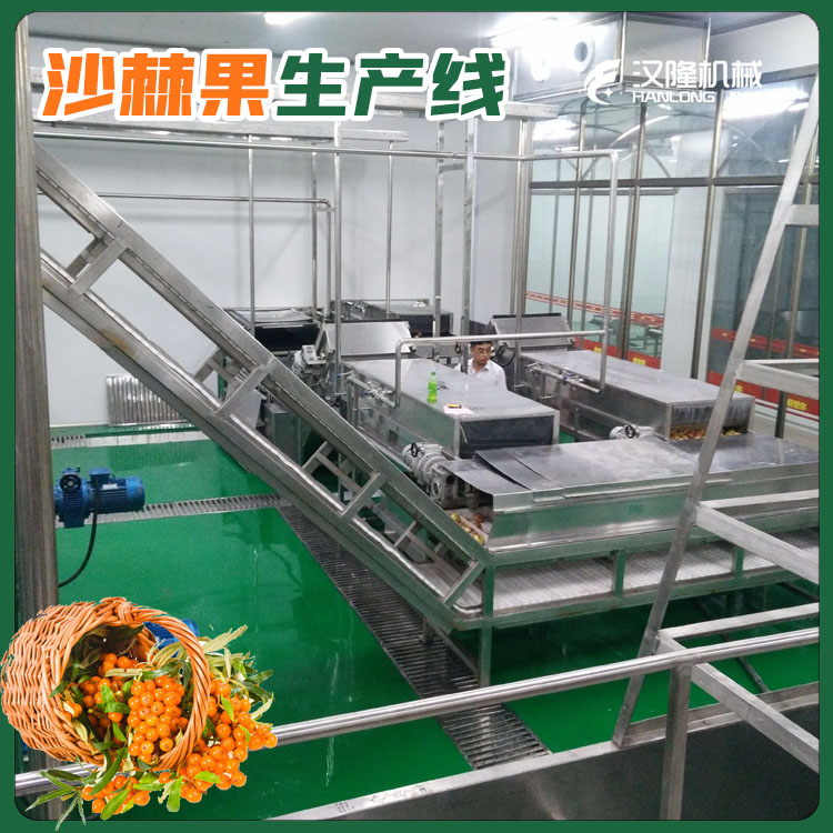 厂家直供整套果汁生产线定制果蔬深加工设备沙棘果整条生产线